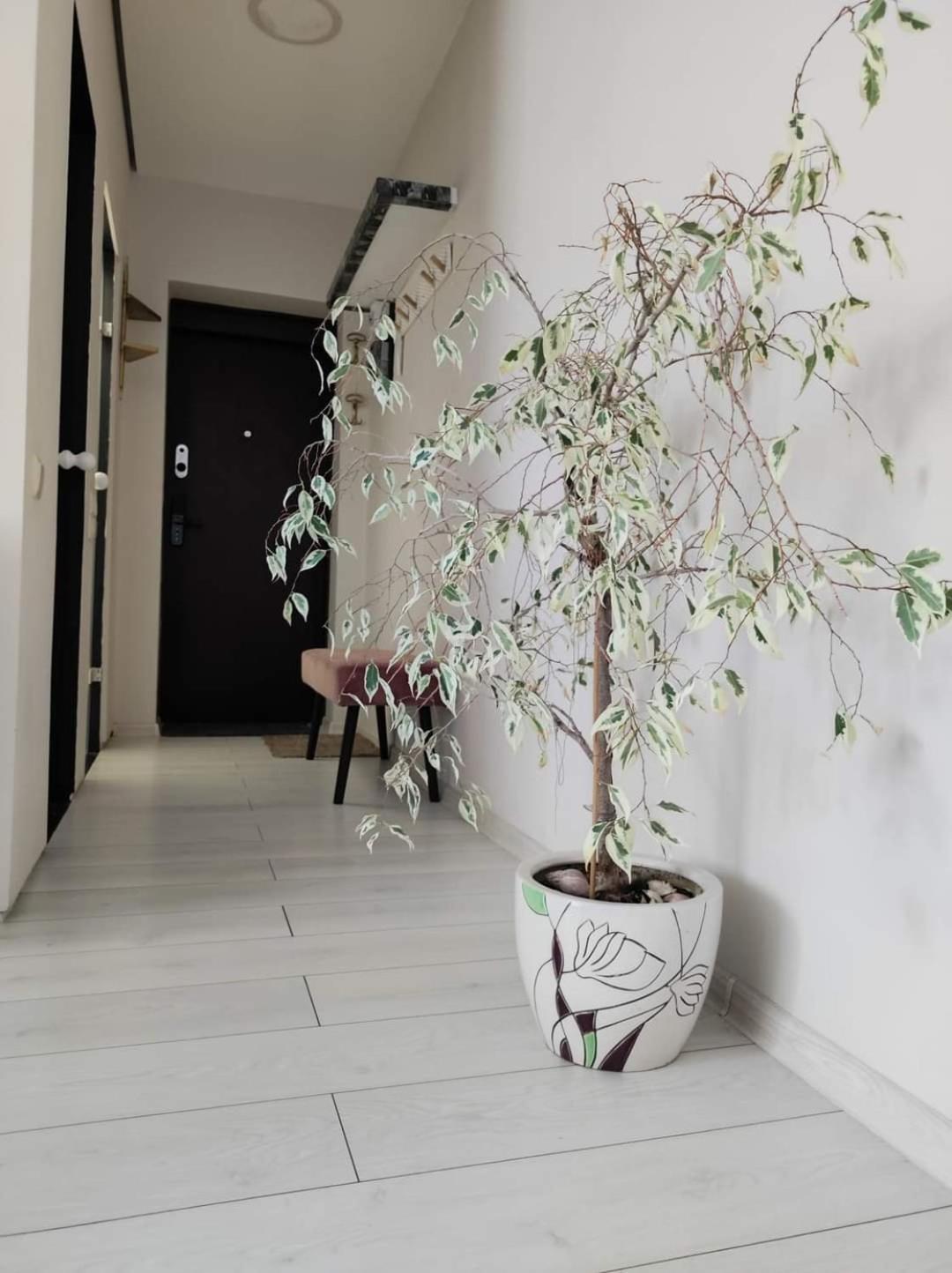 Apartamentai Miesto Centre Siauliai  Luaran gambar
